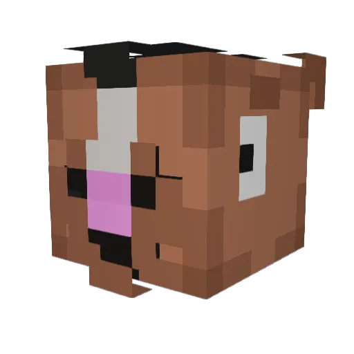 holdenpnw Minecraft avatar head, 3D render