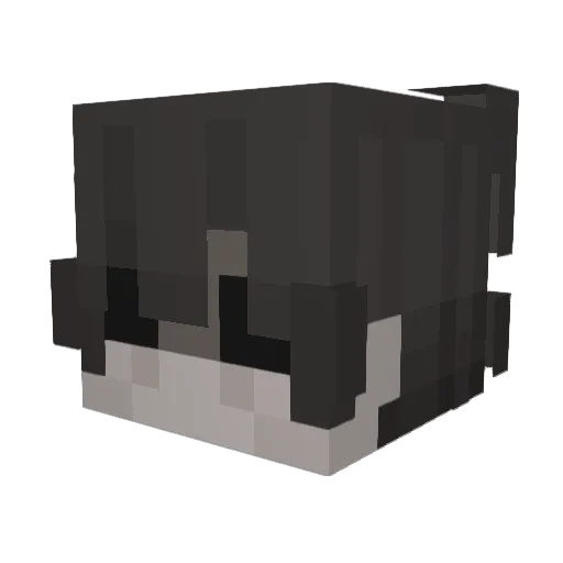 holdies Minecraft avatar head, 3D render