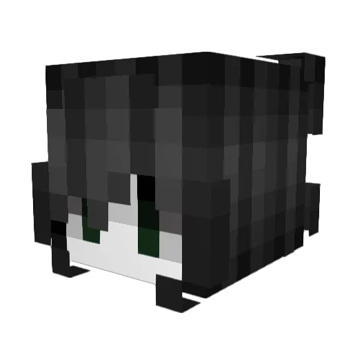 holdontomeplease Minecraft avatar head, 3D render