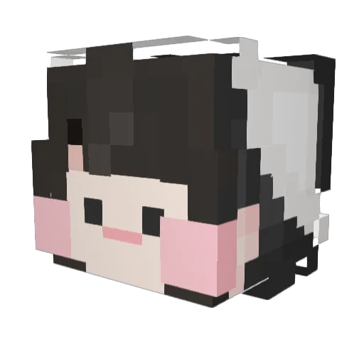 holim_ Minecraft avatar head, 3D render