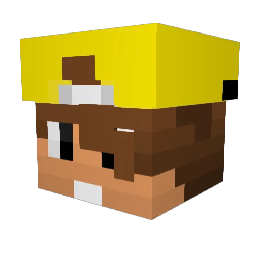 holle06 Minecraft avatar head, 3D render