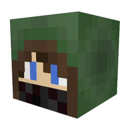 holle9999 Minecraft avatar head, 3D render