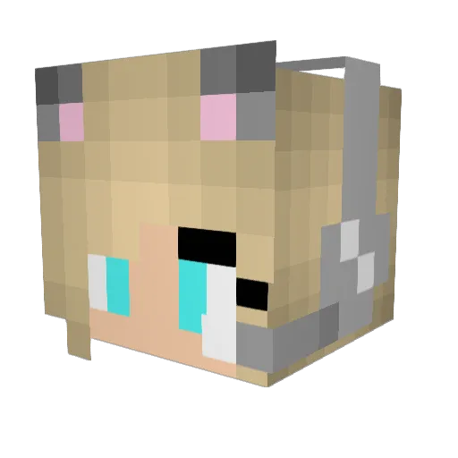 hollergurl Minecraft avatar head, 3D render