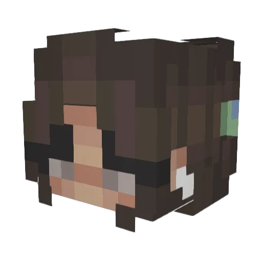 hollip168 Minecraft avatar head, 3D render