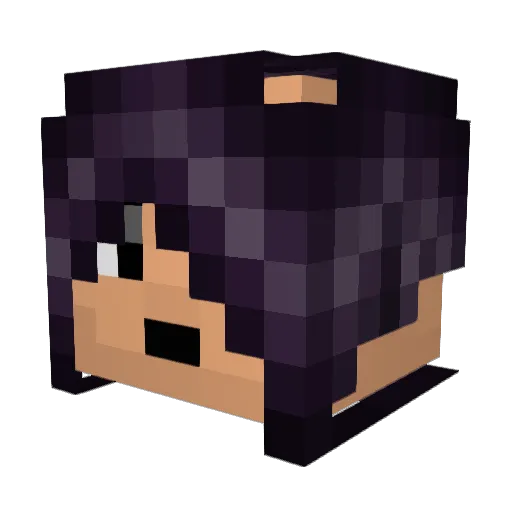 hollister2004 Minecraft avatar head, 3D render