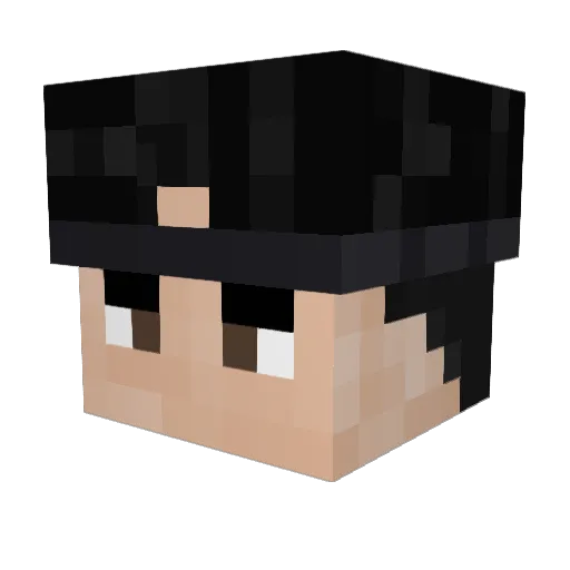 Minecraft-Avatar von hollowheron: Kopf als 3D-Render