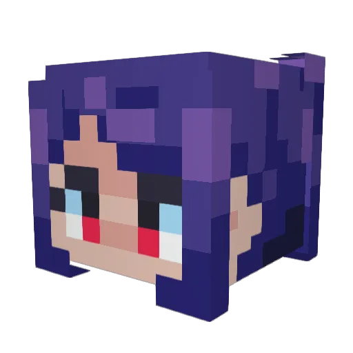 hollowordsbirds Minecraft avatar head, 3D render