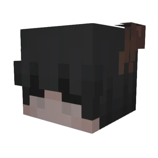 holly1 Minecraft avatar head, 3D render