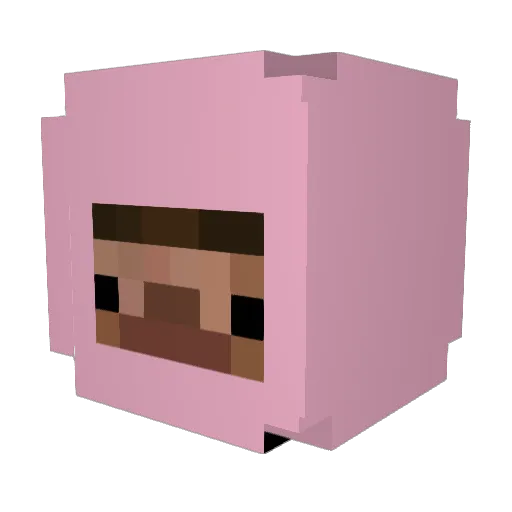 hollyzin Minecraft avatar head, 3D render
