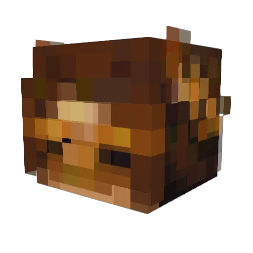 holmium67 Minecraft avatar head, 3D render