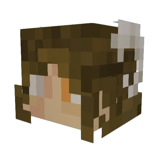 holomorph2 Minecraft avatar head, 3D render