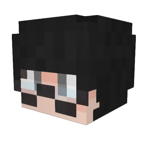 holy2524 Minecraft avatar head, 3D render