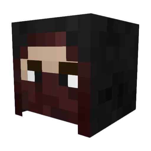 holy_s0up Minecraft avatar head, 3D render