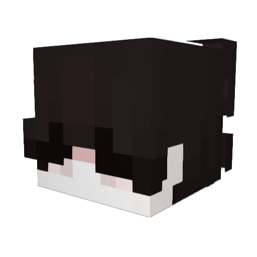 holyitsme Minecraft avatar head, 3D render