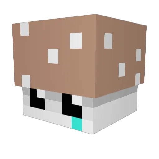 holymoly0427 Minecraft avatar head, 3D render