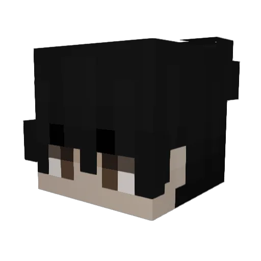 holymolywoa Minecraft avatar head, 3D render