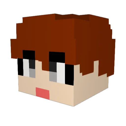 hom237 Minecraft avatar head, 3D render
