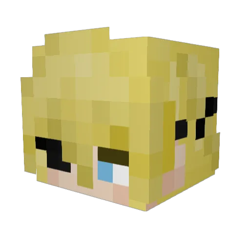 homebody47 Minecraft avatar head, 3D render