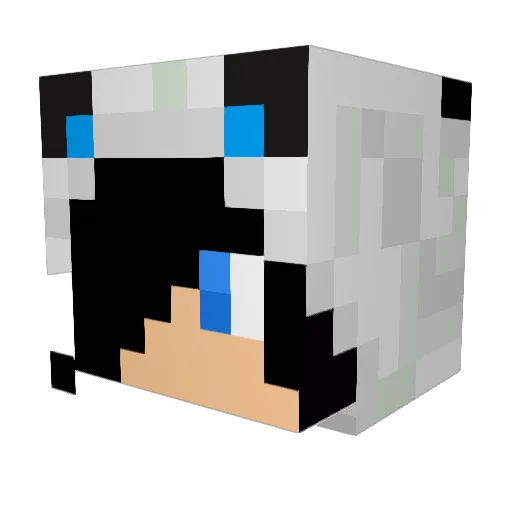 homeboy012 Minecraft avatar head, 3D render