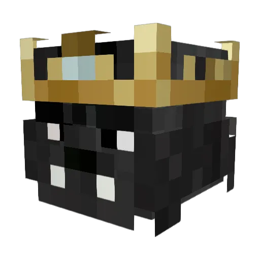 homedirectory Minecraft avatar head, 3D render