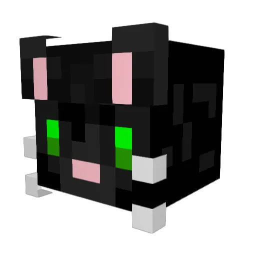 homer2004 Minecraft avatar head, 3D render