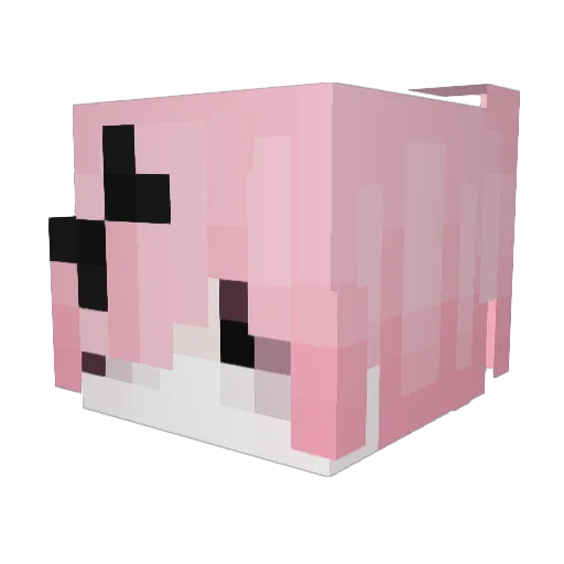 homiccide Minecraft avatar head, 3D render