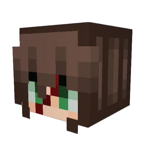 homicidal_liu Minecraft avatar head, 3D render