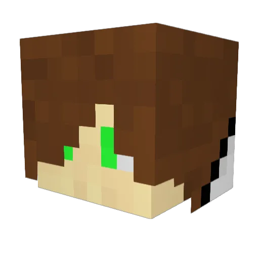 homienight1950 Minecraft avatar head, 3D render