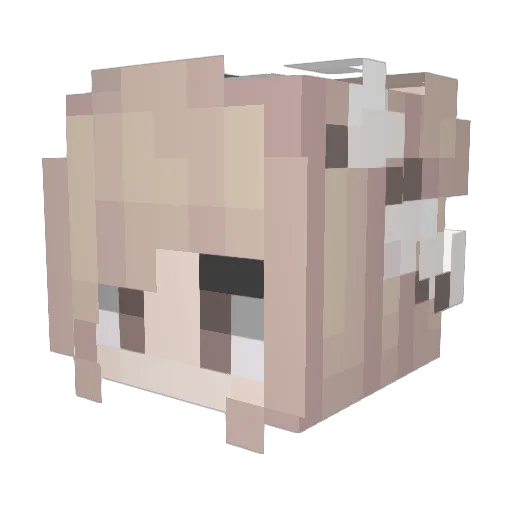 homka46 Minecraft avatar head, 3D render