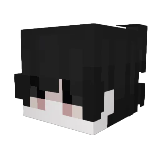 homme2rose Minecraft avatar head, 3D render