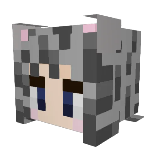homs1000 Minecraft avatar head, 3D render