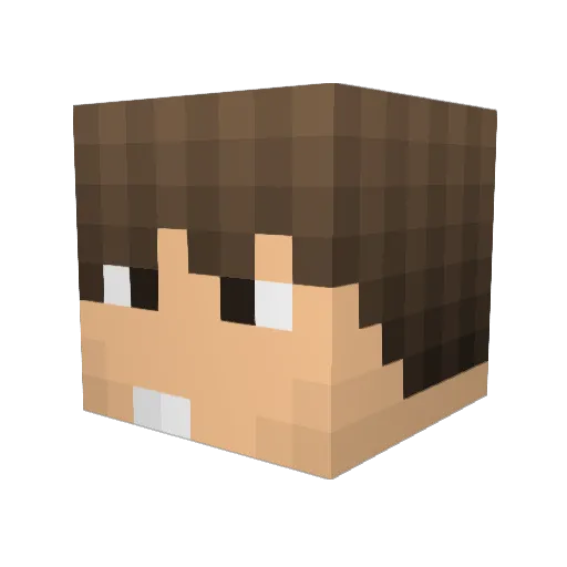 hond4 Minecraft avatar head, 3D render