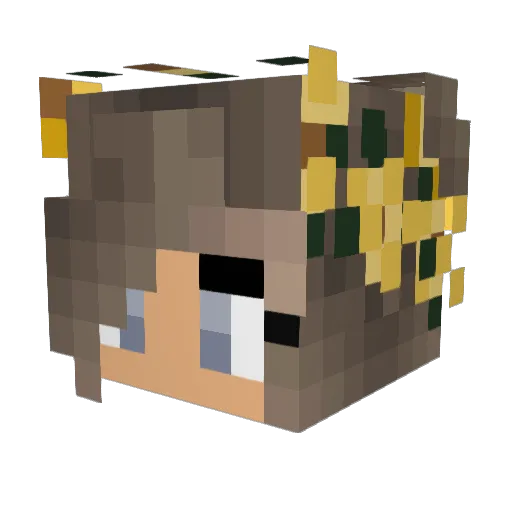 honeeyyy Minecraft avatar head, 3D render