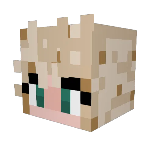 honestlyidk19 Minecraft avatar head, 3D render