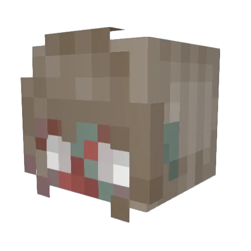 honeybear333 Minecraft avatar head, 3D render