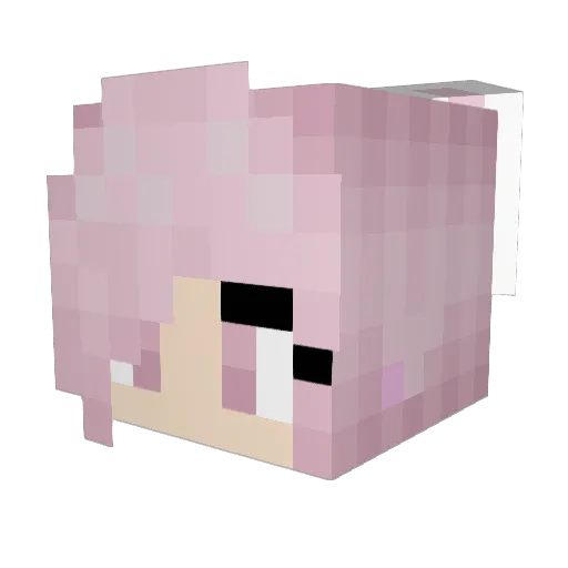 honeybee420 Minecraft avatar head, 3D render