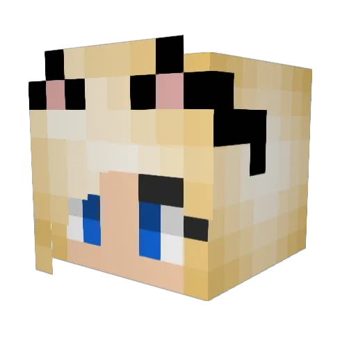 honeysnap Minecraft avatar head, 3D render