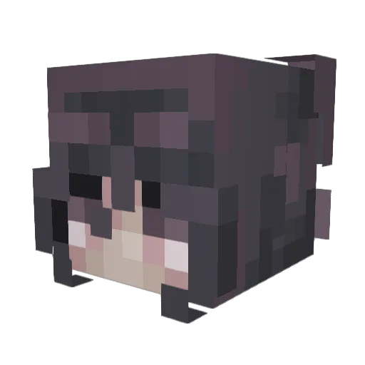 honeywings Minecraft avatar head, 3D render