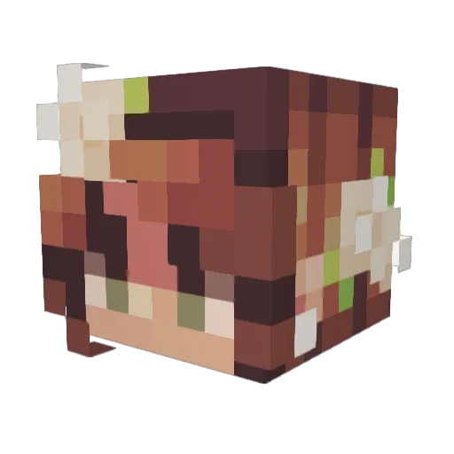 honeyydew_ Minecraft avatar head, 3D render