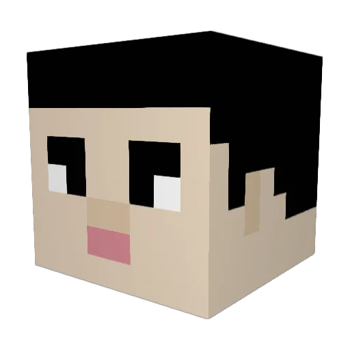 hongsusung Minecraft avatar head, 3D render