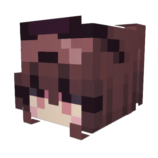 hongting123 Minecraft avatar head, 3D render