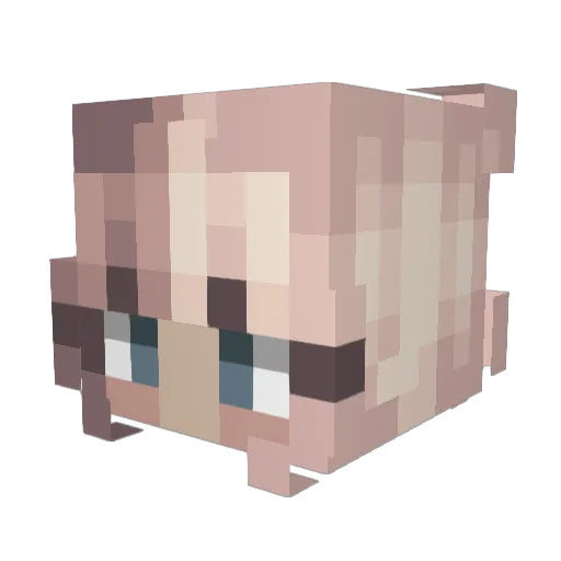 honklills Minecraft avatar head, 3D render