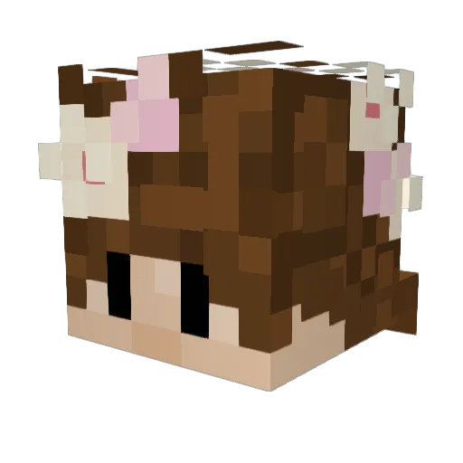 honkstars Minecraft avatar head, 3D render