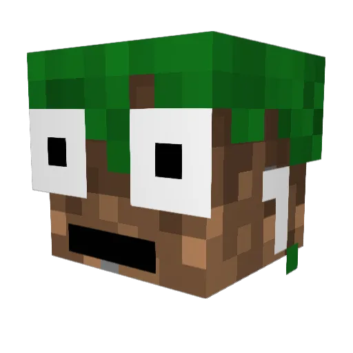 honza1813 Minecraft avatar head, 3D render