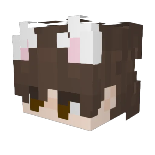 honzacz221 Minecraft avatar head, 3D render
