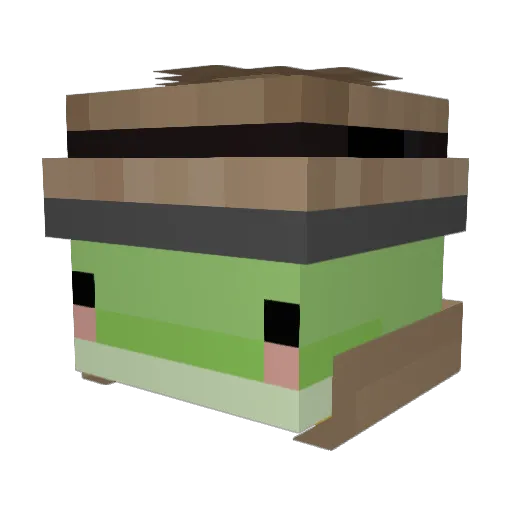 hoo1110 Minecraft avatar head, 3D render