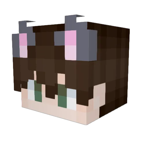 hood_certifed Minecraft avatar head, 3D render
