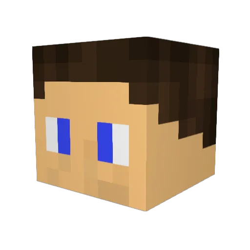 hoodini12 Minecraft avatar head, 3D render