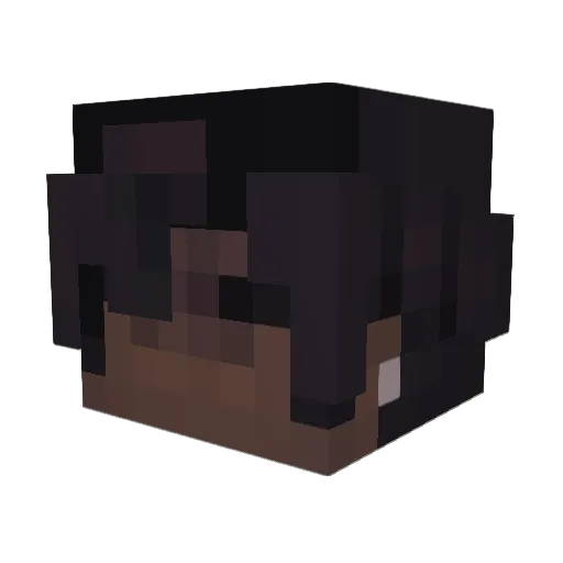 hoodslang Minecraft avatar head, 3D render