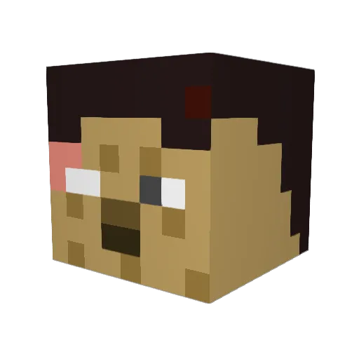 hooksman114 Minecraft avatar head, 3D render